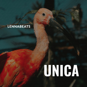 Unica