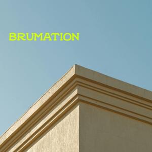Brumation