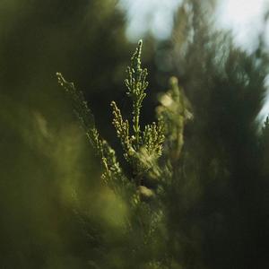 可以感受到下雨天快乐的人，就是心境年轻的人