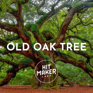 OLD OAK TREE