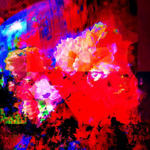 echo from the ground