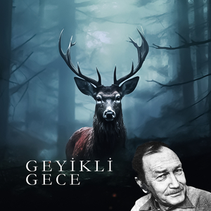 Geyikli Gece