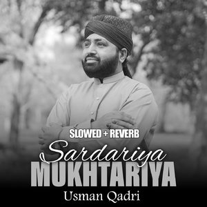 Sardariya Mukhtariya (Lofi-Mix)