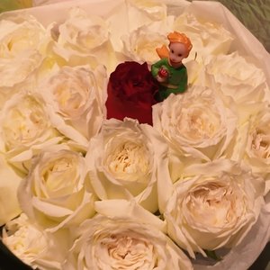 1826_小芦和张张