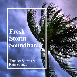 Calm Rain Before Storm