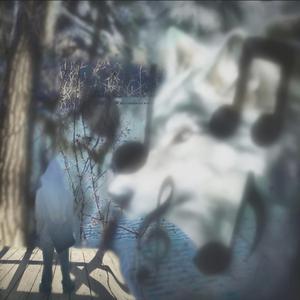 wolfgang (feat. Wstdyth)