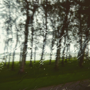 Different in the Rain