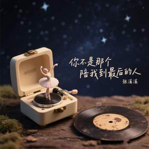 你不是那个陪我到最后的人