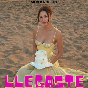 Llegaste