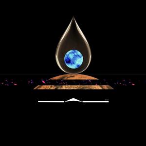 赴生