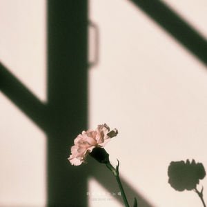 위로가 되는 노래