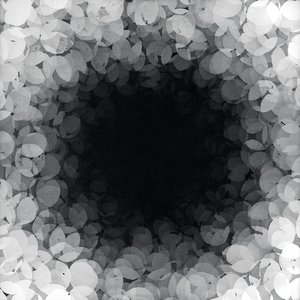 Bipolar Disorder