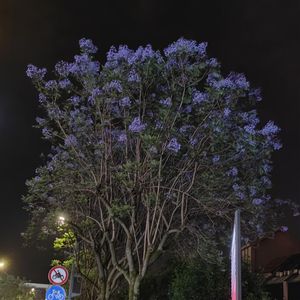 遊びヾ(´〇｀)ﾉ♪♪♪