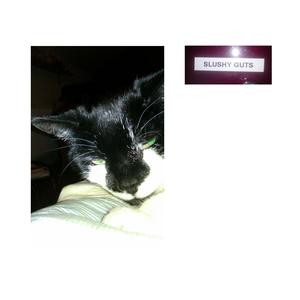 The Shape of My Face Does Sometimes Change