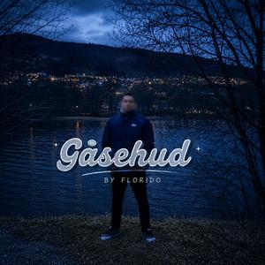 Gåsehud