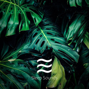 Relajación ruido marrón