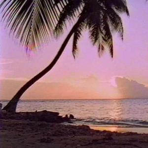 I don't need you（Prod.Nigh7＄）