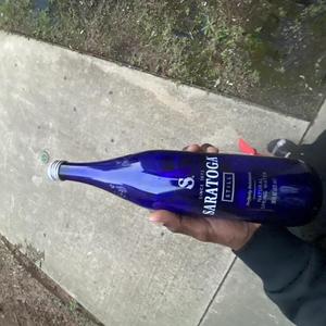 Gaby I’m Drunk