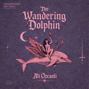 The Wandering Dolphin
