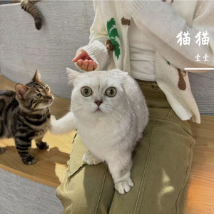 回不去的曾经