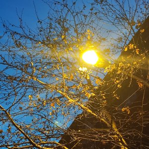 《亲爱的，你也在这里吗》