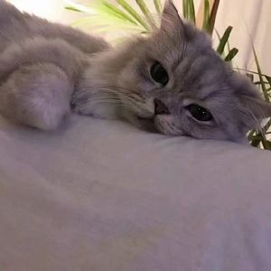 别离开我（Prod EVOMUSIC）