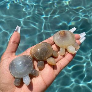 Tortugas