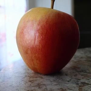 Time Skip Arc (Original)