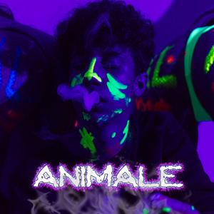 Animale
