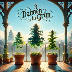 3 Damen in Grün