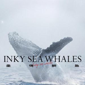 年轻的蚂蚁（Demo）