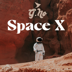 Space X