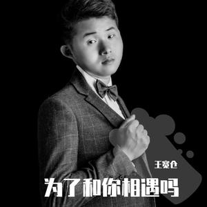 为了和你相遇吗