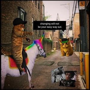 ok? maybe thats the truth i wanna tell you maybe its not i guess you will never know