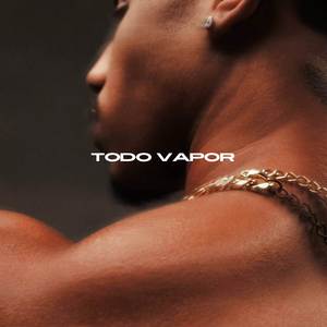 Todo Vapor