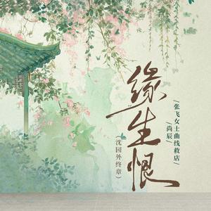 缘生恨(沈园外终章)