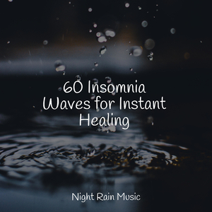 Bird Calls, Forest, Rain