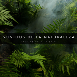 Silbidos y Sopladas