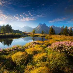 La Melodía Del Alma