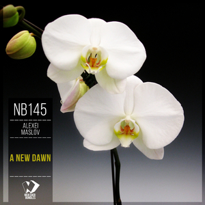 A New Dawn (Chillout Vocal Mix)