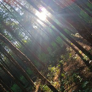 从前(prod. aura+fas+bino)