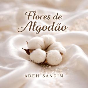 Flores de Algodão