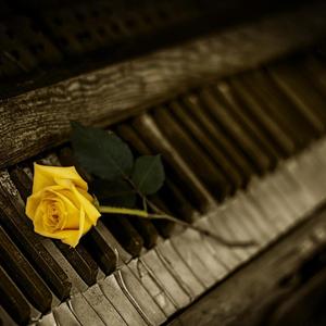 ピアノの亡霊の名において,苦難に満ちた無数の魂に降り注ぐ雨,呪われたピアニストの讃歌