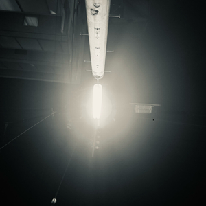 ウスバカゲロウ