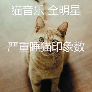 抚慰的睡猫回忆