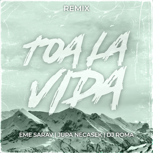 Toa la Vida (Remix)