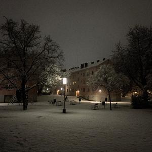 petricor