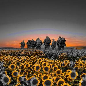 Небесна варта