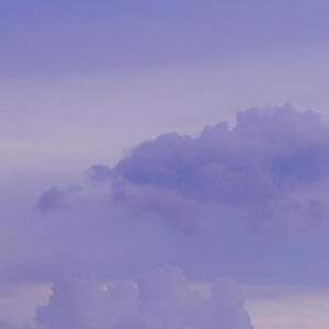 处心积虑（翻自 谢宇伦）