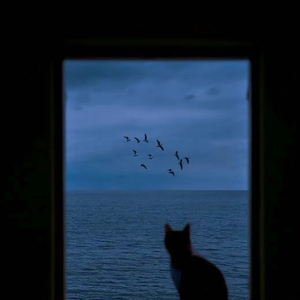 至少还有你 0.8x